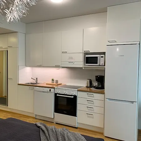 公寓 Studio Apartment With Balcony, Parkinghall 奥卢